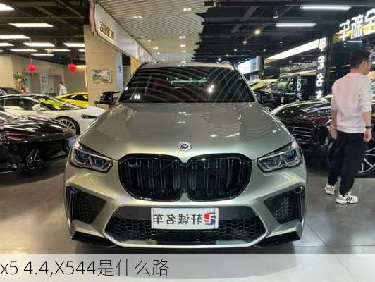 x5 4.4,X544是什么路