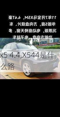 x5 4.4,X544是什么路