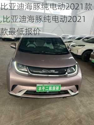 比亚迪海豚纯电动2021款,比亚迪海豚纯电动2021款最低报价