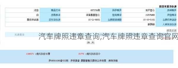 汽车牌照违章查询,汽车牌照违章查询官网