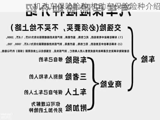 机动车保险险种,机动车保险险种介绍