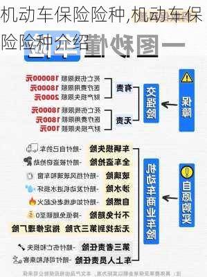 机动车保险险种,机动车保险险种介绍