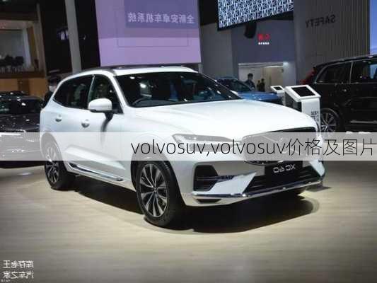 volvosuv,volvosuv价格及图片