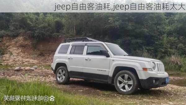 jeep自由客油耗,jeep自由客油耗太大